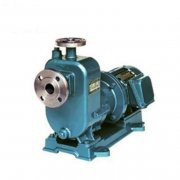 买自吸磁力泵就选专业厂家吧